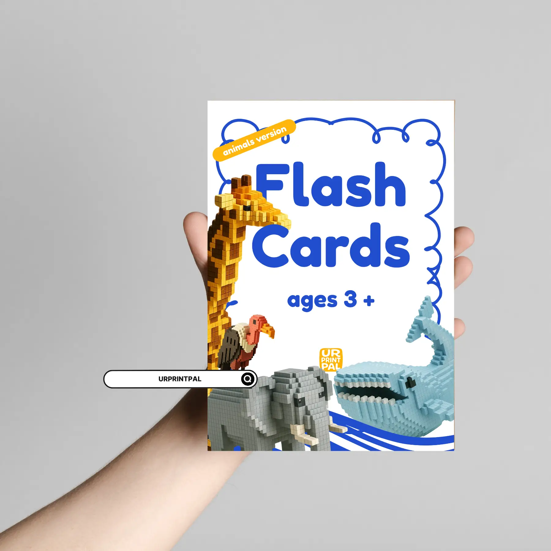 Animal Flash Cards for Kids