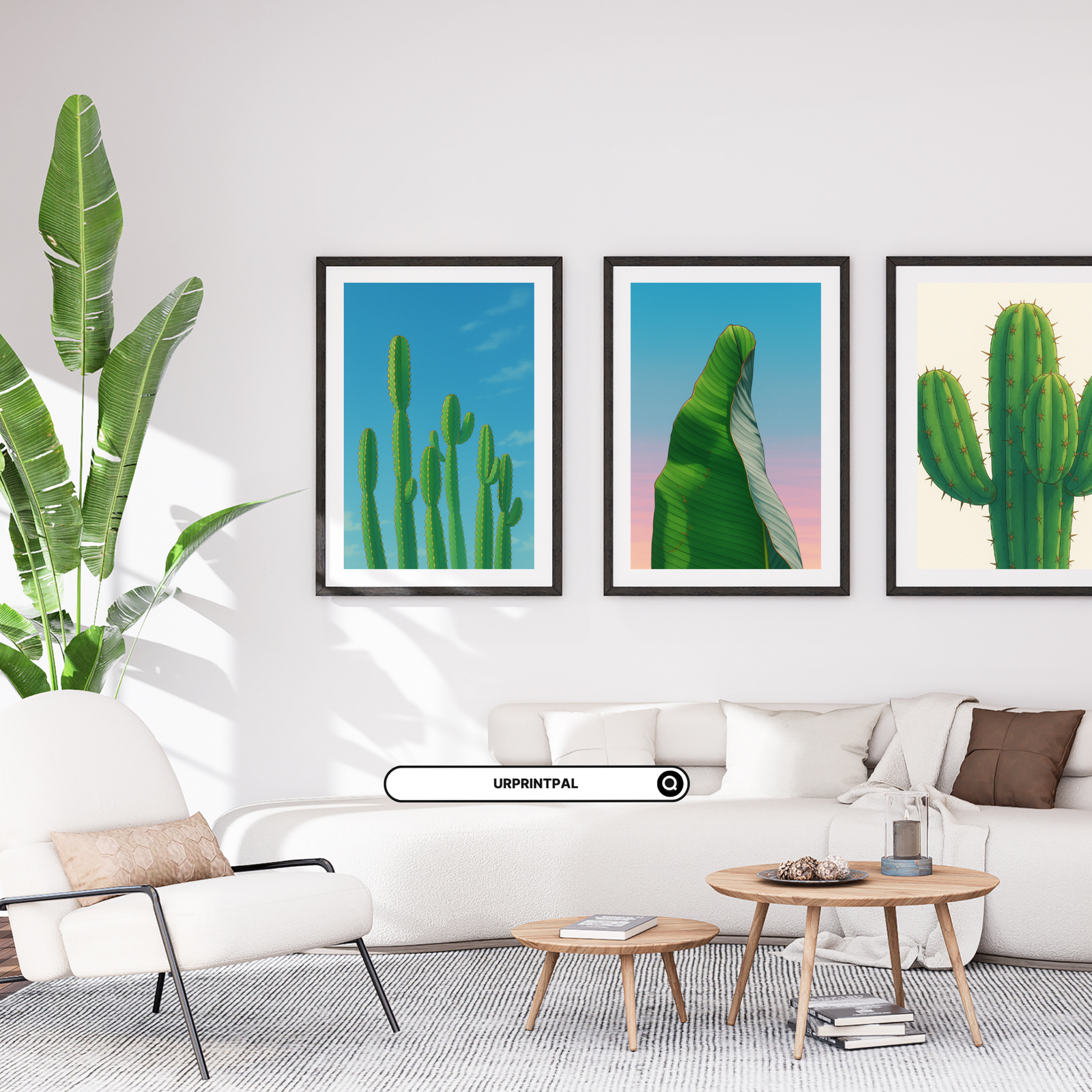 Tropical Cactus Wall Art Set