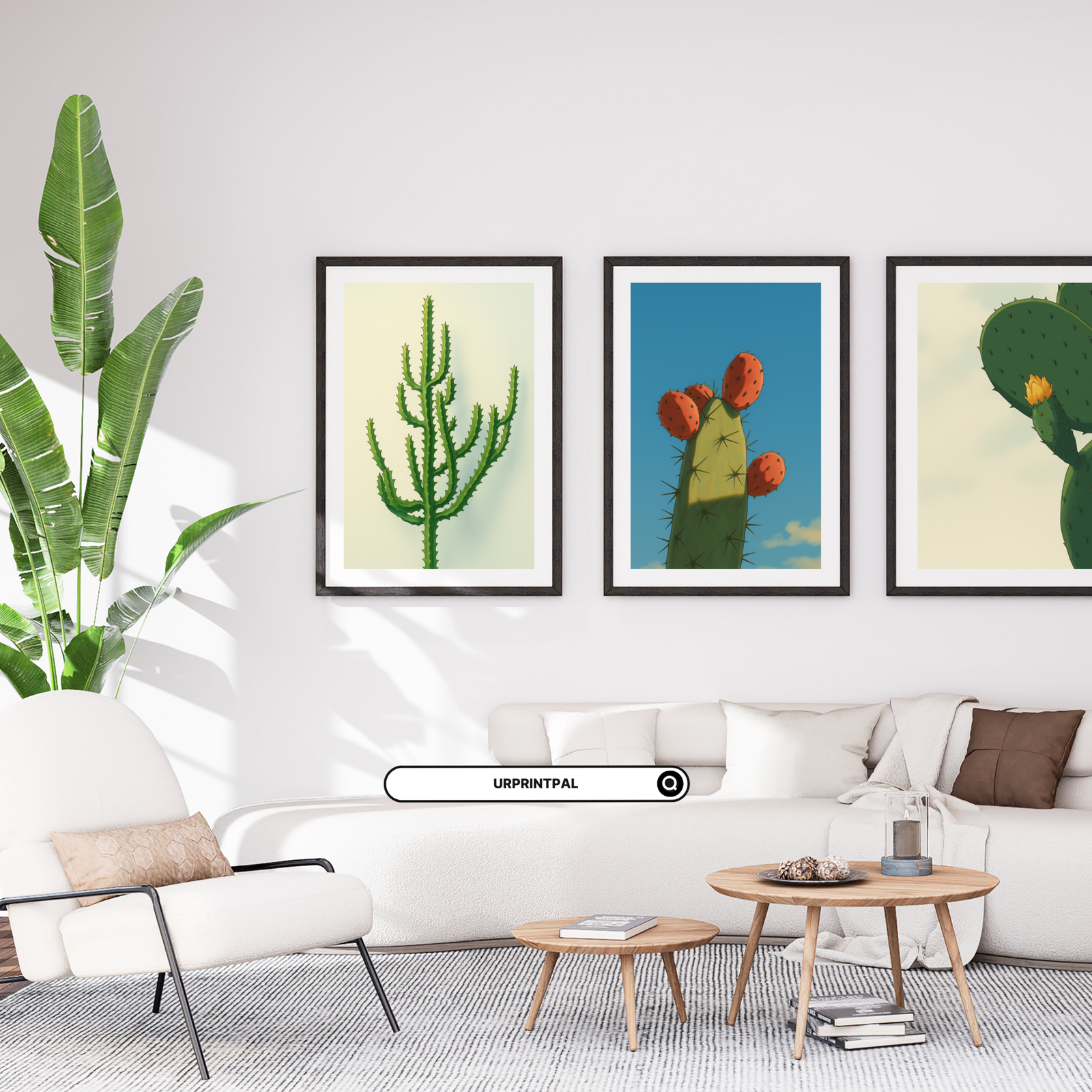 Desert Bloom Cactus Wall Art Set